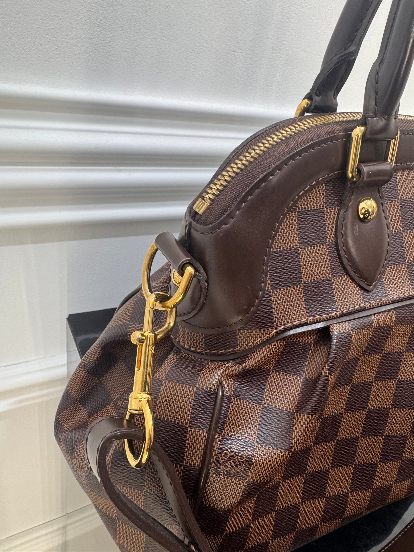 Geanta Louis Vuitton